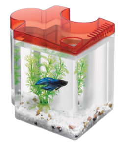 AQUEON BETTA PUZZLE KITS 0.5 RED