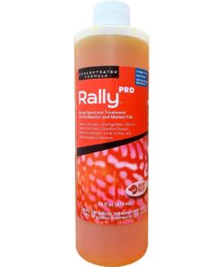 RUBY REEF RALLY PRO CYLINDER 16OZ