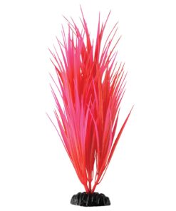 UNDERWATER TREASURE PP ROSE NILE GRASS 8IN