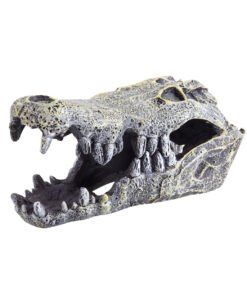 UNDERWATER TREASURES CROCODRILE SKULL