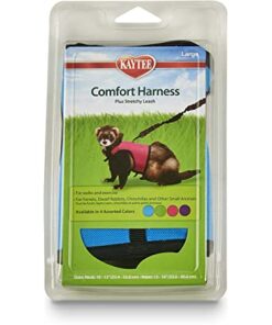 KAYTEE Comfort Harness & Stretchy Leash Medium