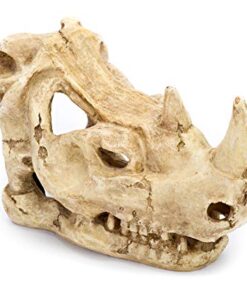 PENN PLAX RHINO SKULL