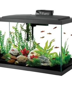 AQUEON LED AQUARIUM KITS 20GL