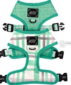 SASSY WOOF REVERSIBLE HARNESS – WAG YOUR TEAL