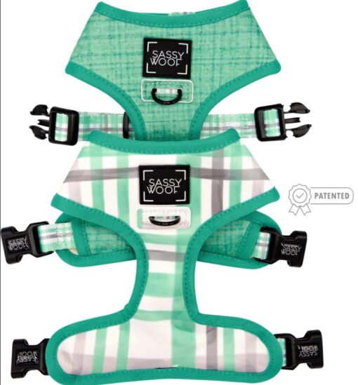 SASSY WOOF REVERSIBLE HARNESS – WAG YOUR TEAL