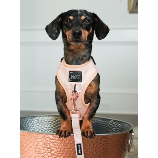 SASSY WOOF LEASH PINOT - Image 3