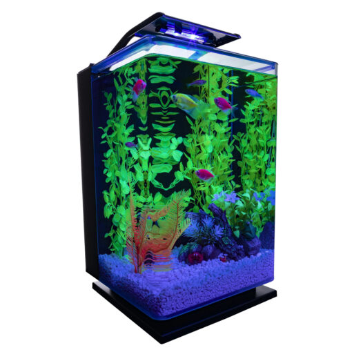 GLOFISH ACRYLIC AQUARIUM KIT 5GL