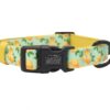 SASSY WOOF COLLAR - MAIN SQUEEZE M