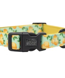 SASSY WOOF COLLAR - MAIN SQUEEZE M