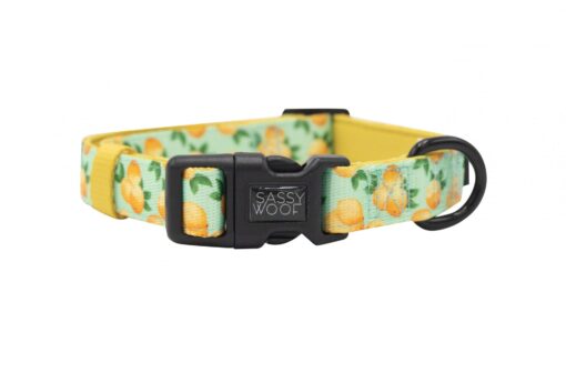 SASSY WOOF COLLAR - MAIN SQUEEZE M