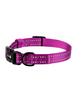 ALCOTT WANDERER COLLAR PURPLE SM