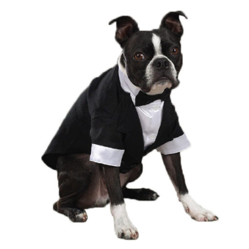 EAST SIDE COLLECTION YAPPILY EVER AFTER GROOM TUXEDO