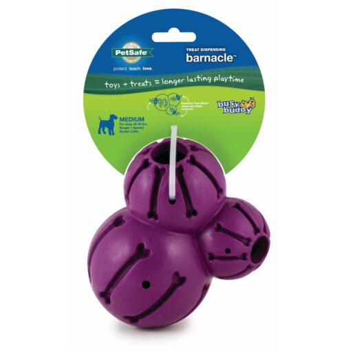 PETSAFE Busy Buddy Barnacle Large