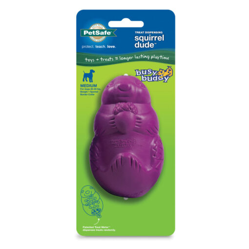 PETSAFE Busy Buddy Squirrel Dude Large