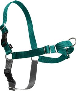 PETSAFE EASY WALK NO PULL HARNESS LARGE TEAL