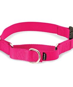 PETSAFE MARTINGALE QUICK SNAP M 1 RASBERRY