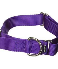 PetSafe Martingale Quick Snap Small 3/4 Deep Purple