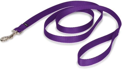 PetSafe Martingale Quick Snap Small 3/4 Deep Purple - Image 2