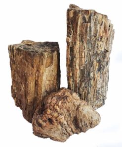 FELLER STONE PETRIFIED WOOD KG