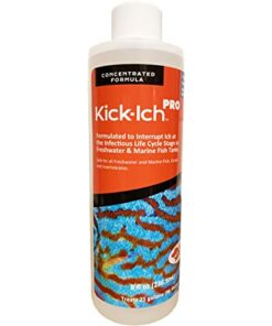 RUBY REEF KICK-ICH PRO 16OZ