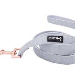 SASSY WOOF 50 SHADES OF SASS LEASH