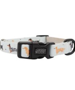 SASSY WOOF DACHSHUND COLLAR