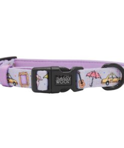 SASSY WOOF FRIENDS COLLAR