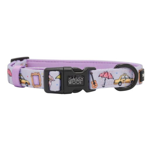 SASSY WOOF FRIENDS COLLAR