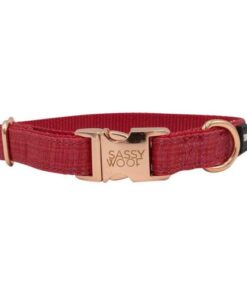 SASSY WOOF MERLOT COLLAR