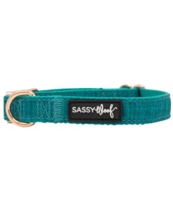 SASSY WOOF NAPA COLLAR