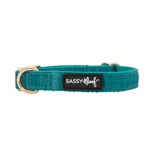 SASSY WOOF NAPA COLLAR