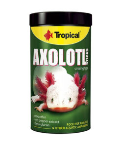 TROPICAL AXOLOTL