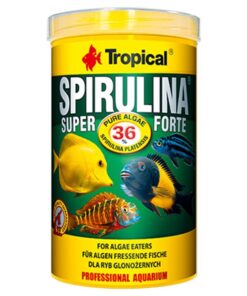 TROPICAL SPIRULINA FLAKES SUPER FORTE 50G 250ML