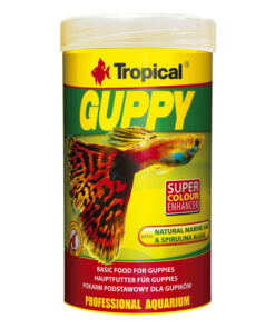 TROPICAL GUPPY