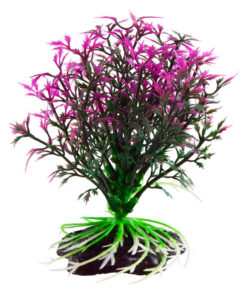 UNDERWATER TREASURE LAVENDER BALL PLANT