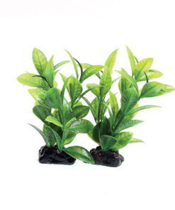 UNDERWATER TREASURE MINI LUDWIGIA GREEN