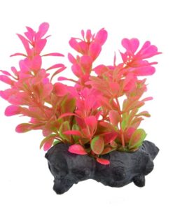 UNDERWATER TREASURE PLANT PINK LUDWIGIA 6"