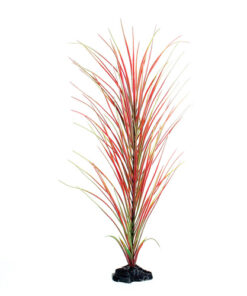 UNDERWATER TREASURE PP RED/GREEN HAIRGRASS 20IN