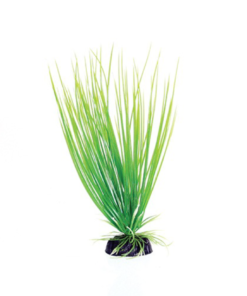 UNDERWATER TREASURE PP GREEN HAIRGRASS 8IN