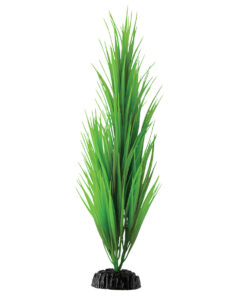 UNDERWATER TREASURE PP GREEN NILE GRASS 16IN