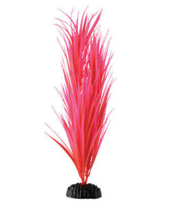 UNDERWATER TREASURE PP ROSE NILE GRASS 16IN