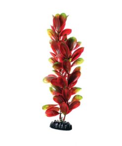 UNDERWATER TREASURE PP RED/GREEN BACOPA 12IN