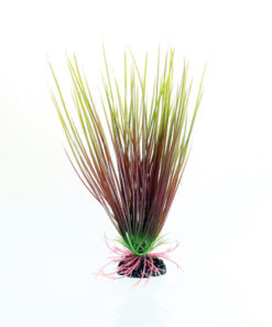 UNDERWATER TREASURE PP RED/GREEN HAIRGRASS 8IN