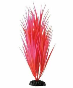 UNDERWATER TREASURE PP ROSE NILE GRASS 12IN