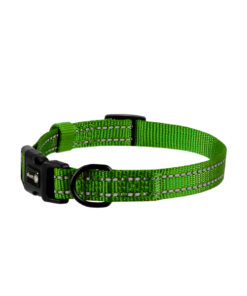 ALCOTT WANDERER COLLAR GREEN SM