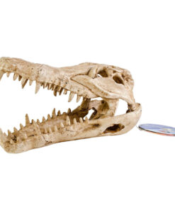 PENN PLAX GATOR SKULL