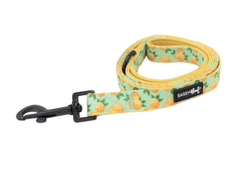 SASSY WOOF LEASH - MAIN SQUEEZE