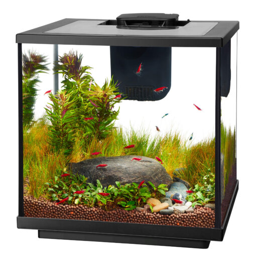 AQUEON LED SHRIMP AQUARIUM KIT 7.5 GL