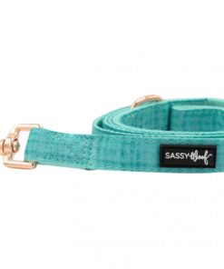 SASSY WOOF LEASH - WAG YOUR TEAL