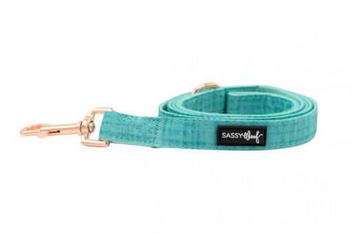 SASSY WOOF LEASH - WAG YOUR TEAL